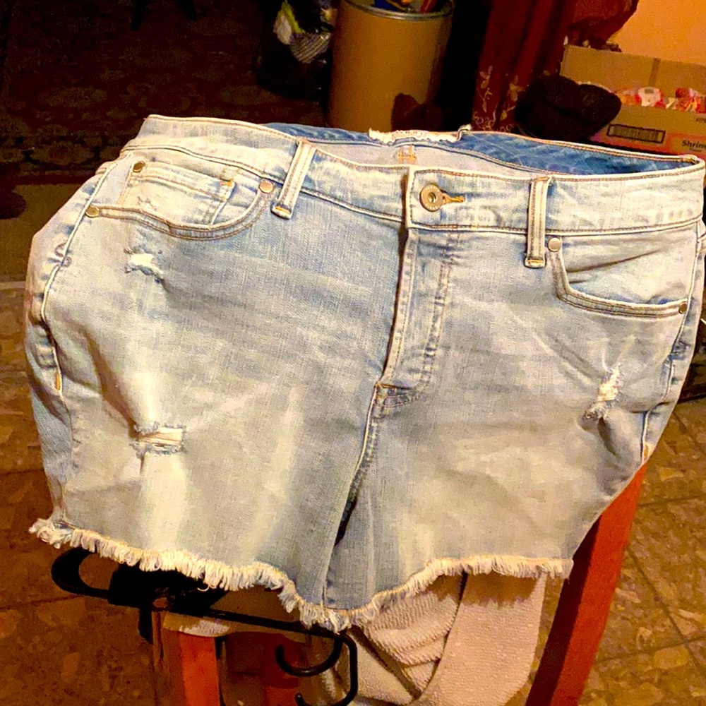 Torrid 16 Jean Short Shorts